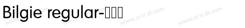 Bilgie regular字体转换 Bilgie regular字体转换